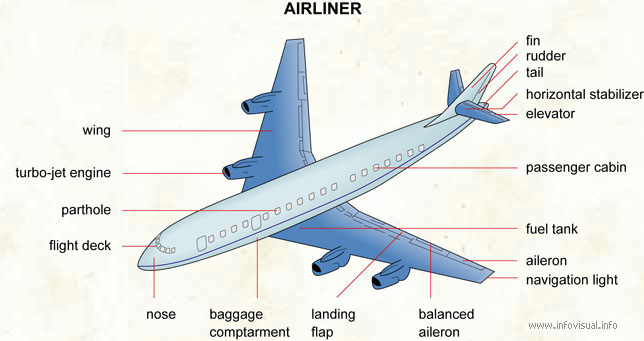 Airliner  (Visual Dictionary)